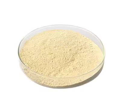  Xanthan Gum